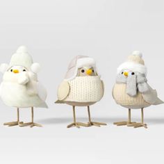 three small birds wearing hats and scarves