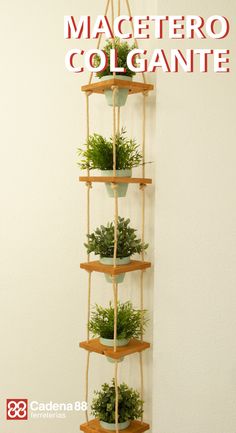 there is a vertical planter with plants in it and the words macetero colgante above it