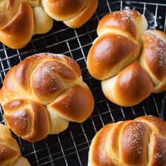 freshly baked hot cross buns cooling on a wire rack