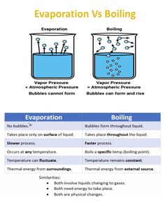 the differences between evaporation and boiling in different types of liquids, including water