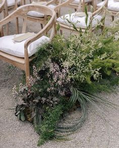 a bunch of chairs sitting next to each other with plants growing out of the seats