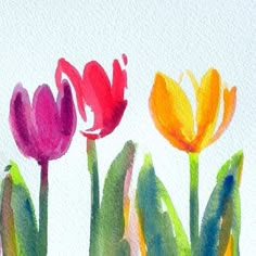 three colorful tulips on a white background with watercolor paint and brush strokes