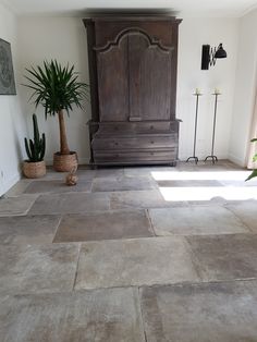 a living room with some plants in pots on the floor and a large wooden armoire