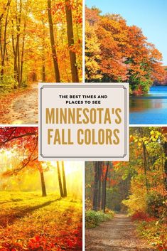 the best times and places to see minnesota's fall colors