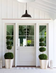 two potted plants sit in front of a white door