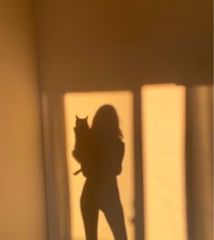 the shadow of a woman with a cat on her back