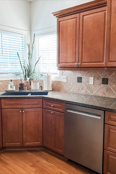 a kitchen with wooden cabinets and stainless steel dishwasher on the counter, along with a potted plant