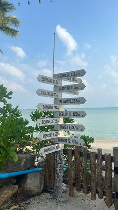 there are many signs on the beach pointing to different locations in the direction of people