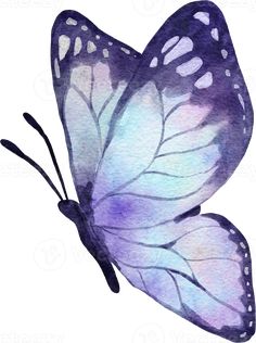 a watercolor painting of a purple butterfly