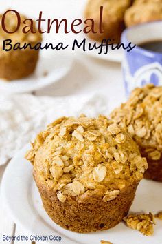 two banana muffins on a plate with oatmeal in the background