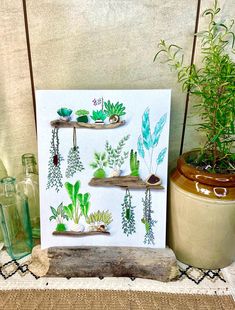 a card with plants on it sitting next to a potted plant and some glass bottles