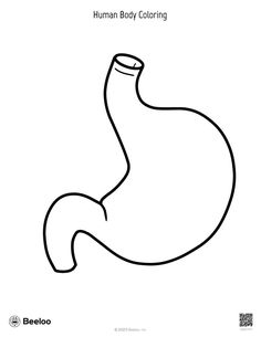 the stomach coloring page is shown in black and white, with text that reads human body coloring