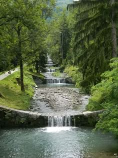 a stream running through a lush green forest