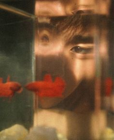 a man looking at two red fish in a glass container with another person's face behind it