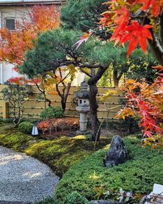 a japanese garden with rocks and trees