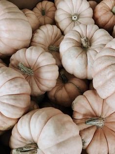 a bunch of white pumpkins sitting on top of each other