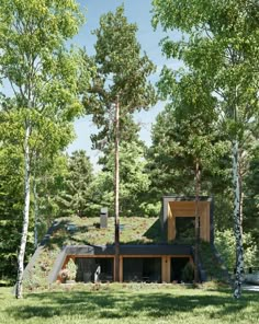 the house is surrounded by trees and grass