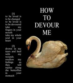 a white swan with the words how to devour me