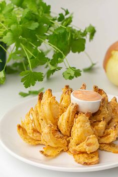 some fried food on a white plate with dipping sauce