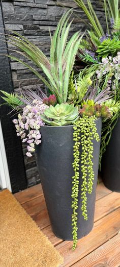 two large potted plants sitting on top of a wooden table