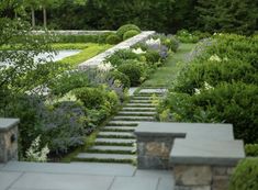 an outdoor garden with stone steps and plants