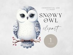 an owl sitting on top of a branch with the words snowy owl clipart