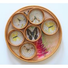 an image of a plate with butterflies and flowers on the inside, as well as other things in it