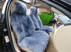 two furry blue seats in the front seat of a car, with one sitting on the driver's side