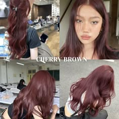 #hair #haircolor #hairinspiration #hairstyles #cherrybrown Hair Colour Aesthetic Ideas, Burgundy Colored Hair, What Color Should I Dye My Hair Brown, Mahoney Hair Color, Cherry Brown Hair Aesthetic, Red Cool Tone Hair, Cherry Brown Hair On Pale Skin, Light Cherry Cola Hair Color, Cherry Red Hair Color On Brown Skin