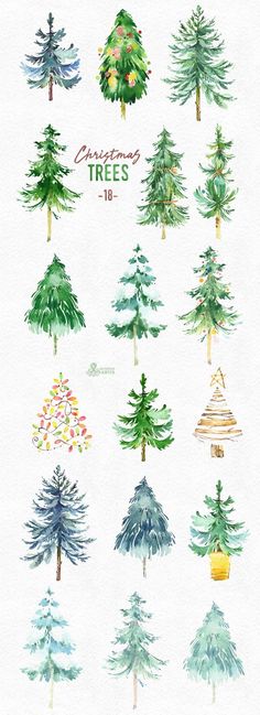 watercolor christmas trees on white paper