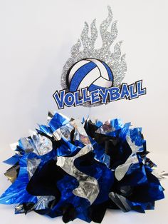 there is a blue and silver pom - poms in front of the volleyball logo