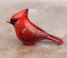 a small red bird sitting on top of a table