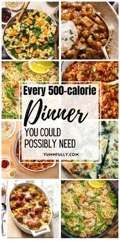 a collage of different dishes with the words every 500 calorie dinner you could possibly need