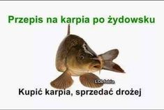 a fish that is sitting on top of a white background with words in russian and english