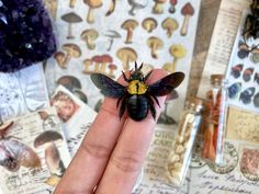 a tiny bee sitting on top of a persons hand in front of many postcards