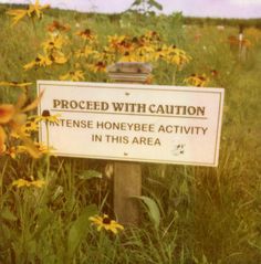 a sign that is in the grass near flowers