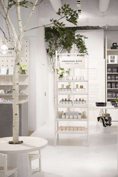 a white room with shelves filled with bottles and plants