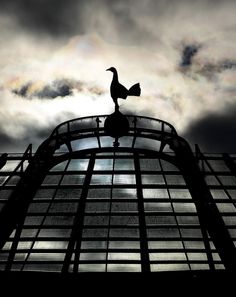 the silhouette of a bird on top of a building with cloudy skies in the background