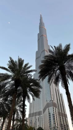 the burj building towering over palm trees in front of a clear blue sky