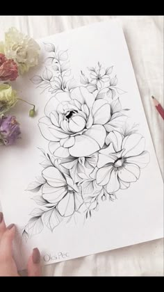 someone is drawing flowers on paper with pencils