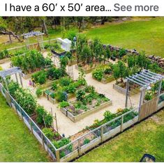 an aerial view of a garden with lots of trees and plants in the middle of it