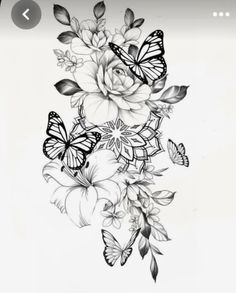 some flowers and butterflies on a white background