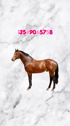 a brown horse standing on top of a white marble floor next to a pink sign