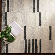 a white rug with black stripes and a green plant on it next to an open book