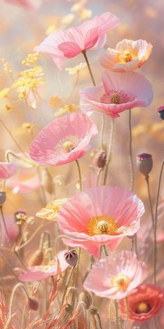 pink and yellow flowers are growing in the sunbeams, with an artistic background