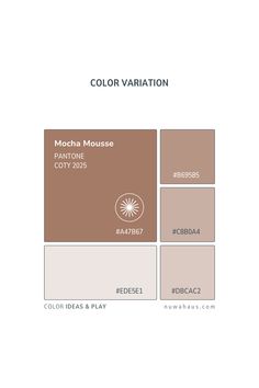 the color variation for mocha mouse is shown in brown, beige and white colors