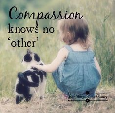 Animal Kindness, Quotes On Kindness, Kindness Quotes Inspirational, Morning Mantras, Optimism Quotes, Animals Quotes, Compassion Quotes, Morning Mantra