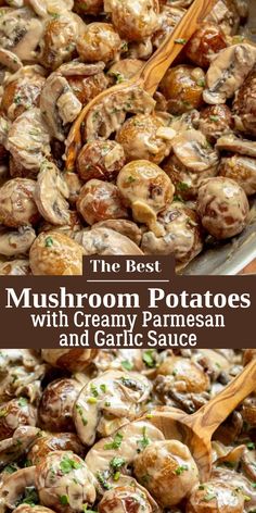 mushroom potatoes with cream parmesan and garlic sauce are the best mushrooms to cook