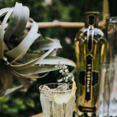 a tall glass filled with ice and lemon wedges next to a bottle of alcohol