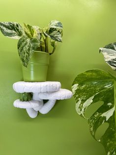 a potted plant sitting on top of a green wall next to some fake plants